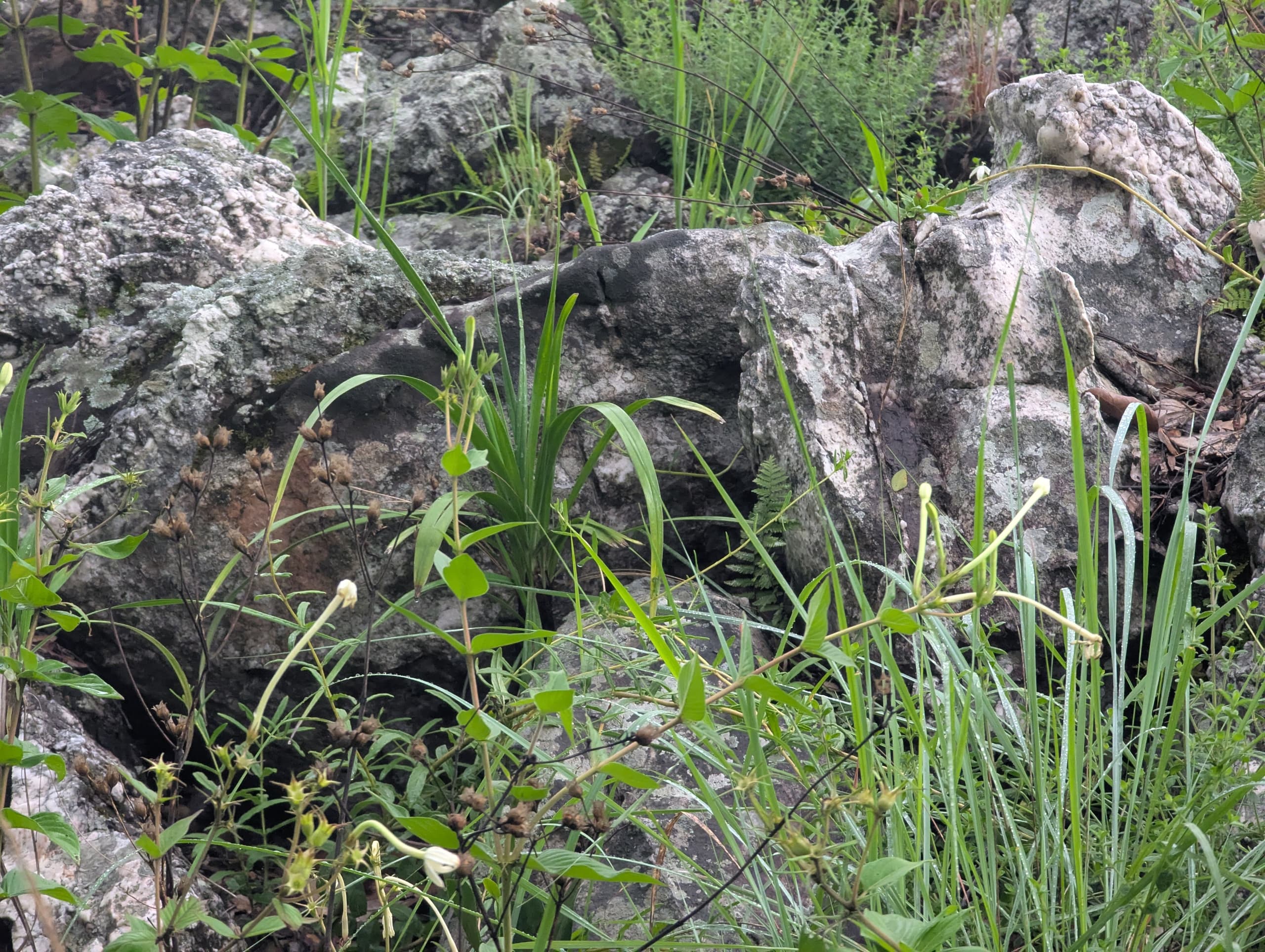 National Mineral Exploration